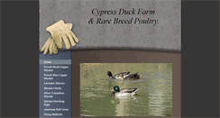 Desktop Screenshot of cypressduckfarm.com